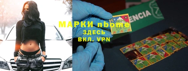 ГАЛЛЮЦИНОГЕННЫЕ ГРИБЫ Горно-Алтайск