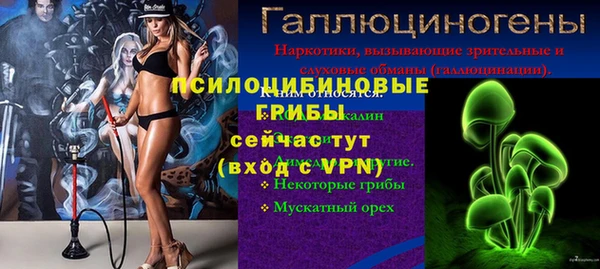 мдма Гусев