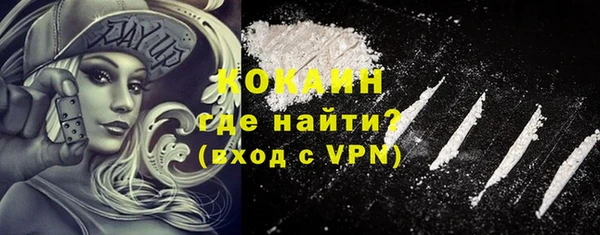 ГАЛЛЮЦИНОГЕННЫЕ ГРИБЫ Горно-Алтайск