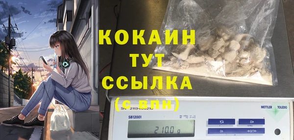 мдма Гусев