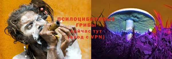 мдма Гусев